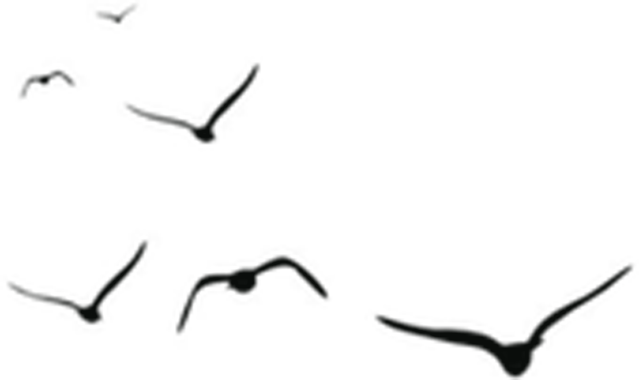 花城控股集團(tuán)