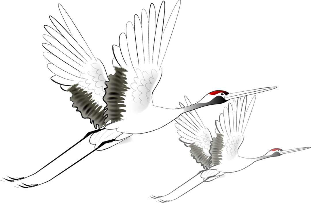 花城控股集團(tuán)