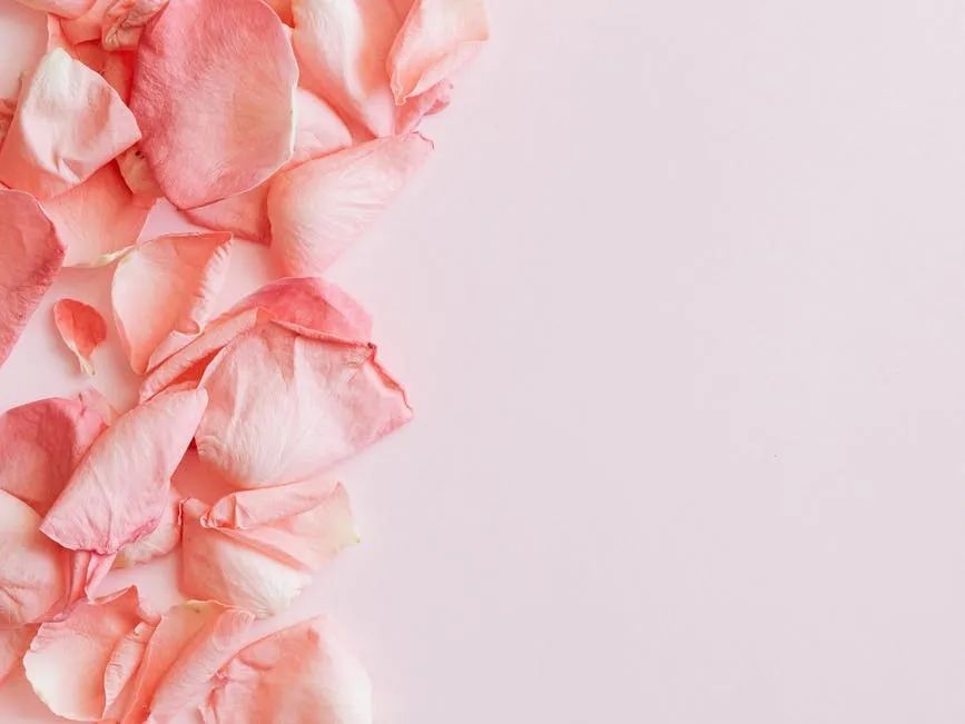 不好意思，本次培訓(xùn)班只限乘風破浪的姐姐參與