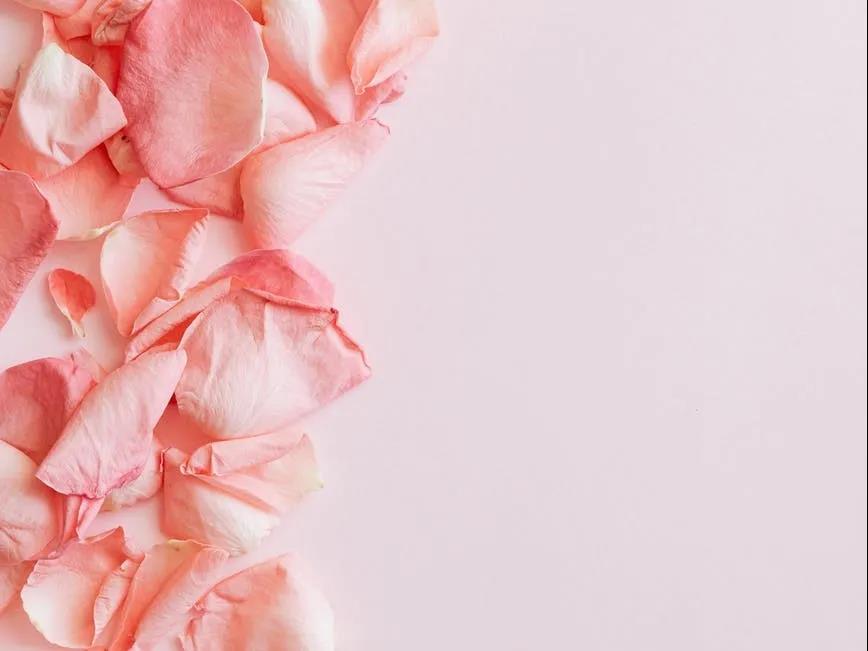 1600414010280739.jpg 微信圖片_20200918152559.jpg